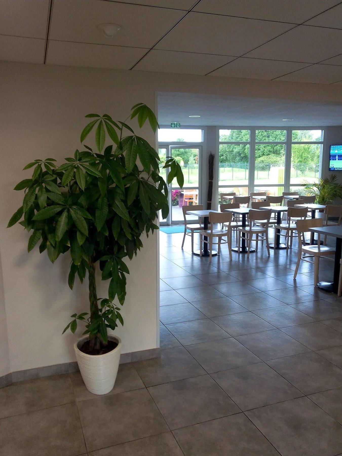 B&B Hotel Clermont-Ferrand Nord Riom Εξωτερικό φωτογραφία